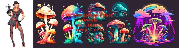 индика Верхнеуральск