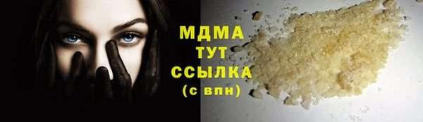 шишки Слюдянка