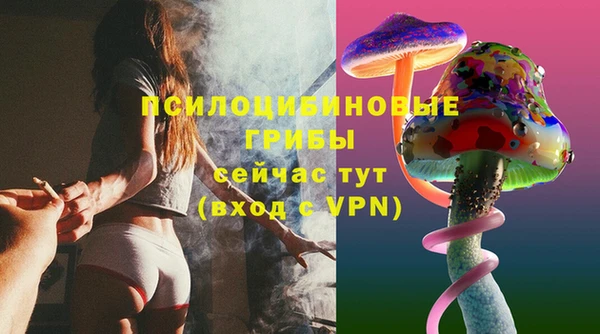 MESCALINE Верея