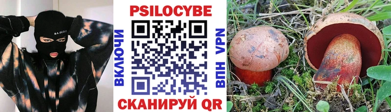Псилоцибиновые грибы ЛСД  Зима 