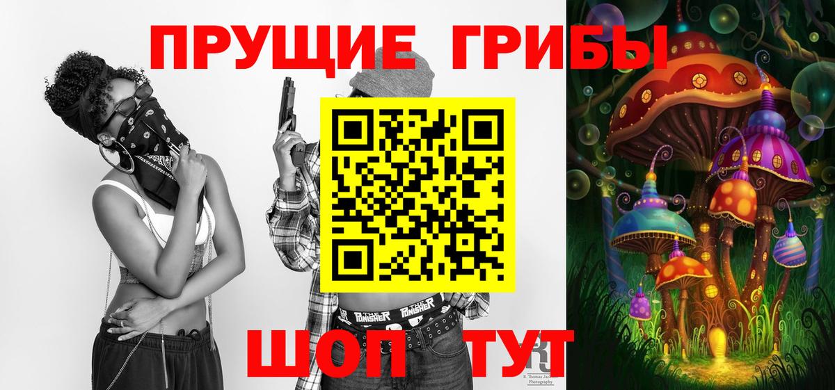 Зима  Псилоцибиновые грибы MAGIC MUSHROOMS  Вход с VPN  Псилоцибиновые грибы ЛСД 