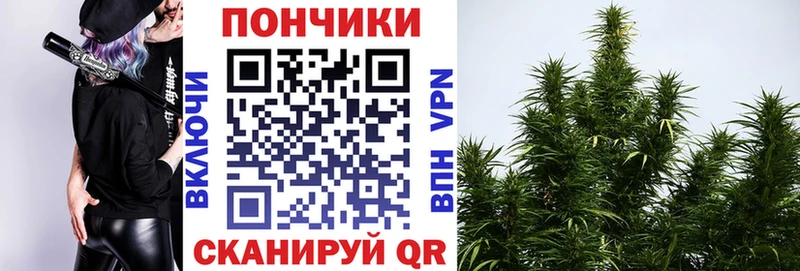 Конопля Bruce Banner Зима