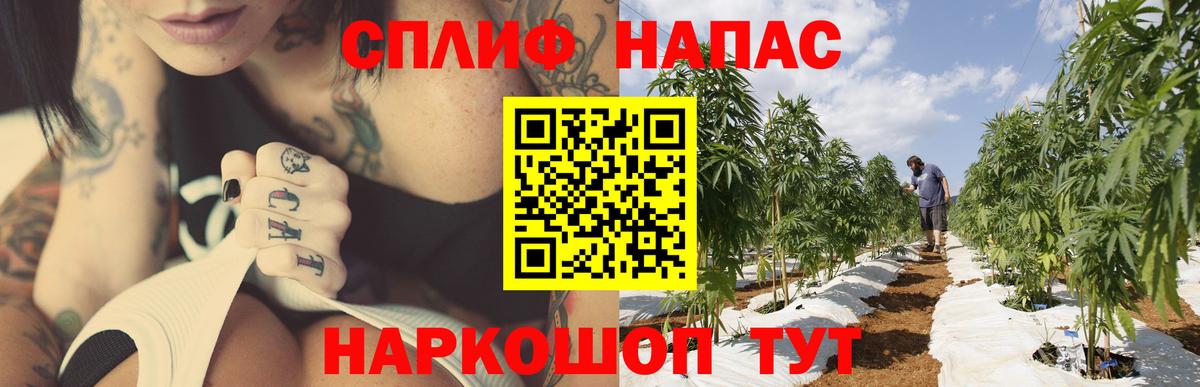 Марихуана Bruce Banner  Канабис THC 21%  Зима  Бошки марихуана THC 21%  Вход с VPN 